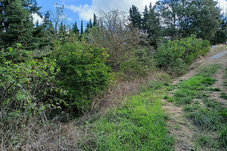 achat terrain magrie 11300