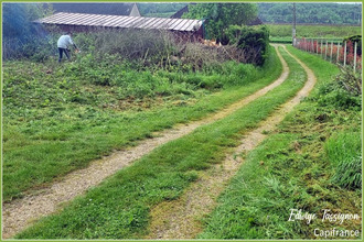 achat terrain malay-le-petit 89100