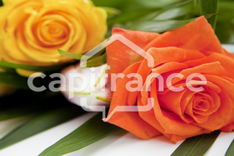 achat terrain mamoudzou 97600