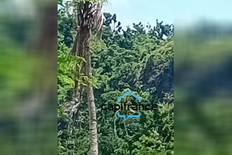 achat terrain mamoudzou 97600