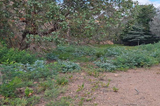 achat terrain mandelieu-la-napoule 06210