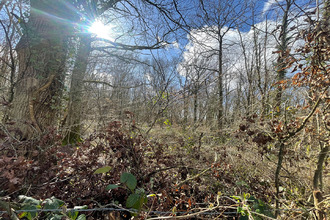 achat terrain marcais 18170