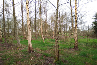 achat terrain marcille-raoul 35560