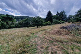 achat terrain marcoux 42130