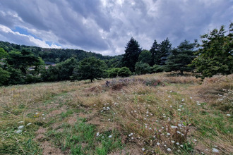 achat terrain marcoux 42130