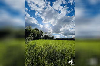 achat terrain maretz 59238