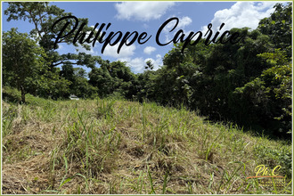 achat terrain marin 97290