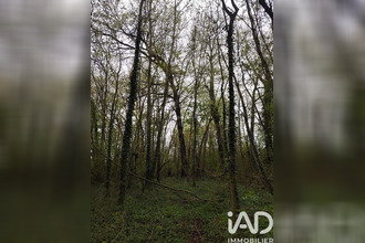 achat terrain marles-en-brie 77610