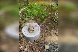 achat terrain marquion 62860