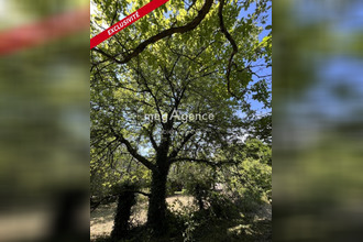 achat terrain martigne-briand 49540