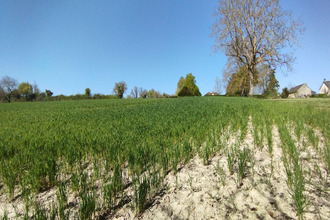 achat terrain martizay 36220