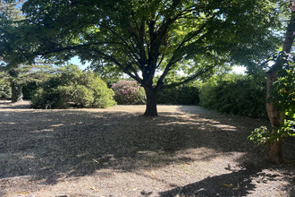 achat terrain mas-stes-puelles 11400