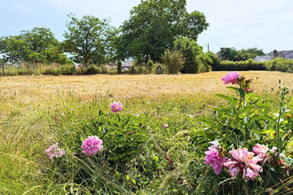 achat terrain masny 59176