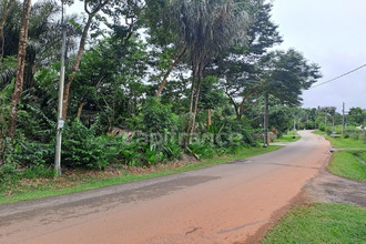 achat terrain matoury 97351