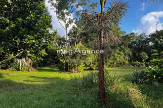 achat terrain matoury 97351