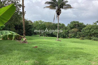 achat terrain matoury 97351