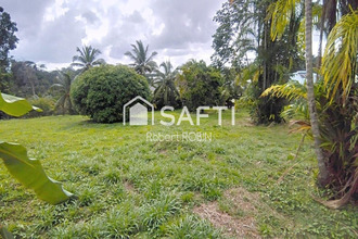 achat terrain matoury 97351