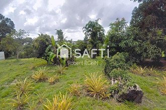 achat terrain matoury 97351