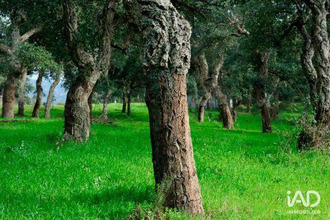 achat terrain maureillas-las-illas 66480