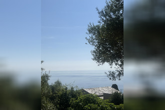 achat terrain mausoleo 20259