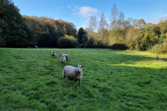 achat terrain meneac 56490