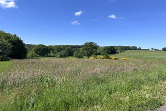 achat terrain mercoeur 19430