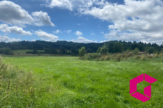 achat terrain merle-leignec 42380