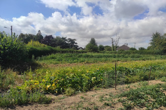 achat terrain merville-franceville-plage 14810