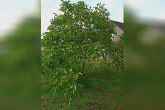 achat terrain mesanger 44522