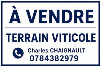 achat terrain meursault 21190