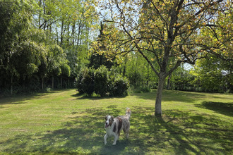 achat terrain mezeriat 01660