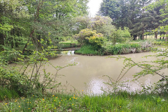 achat terrain mignaloux-beauvoir 86550