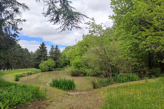 achat terrain mignaloux-beauvoir 86550