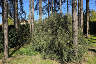 achat terrain mignaloux-beauvoir 86550