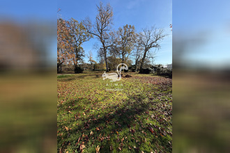 achat terrain mios 33380