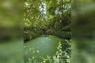 achat terrain mirandol-bgnounac 81190