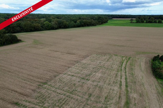 achat terrain molac 56230