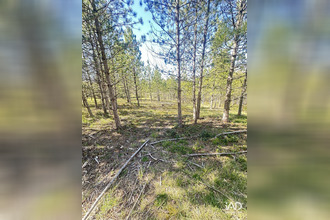 achat terrain mollans-sur-ouveze 26170