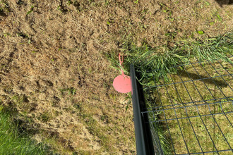 achat terrain monce-en-belin 72230