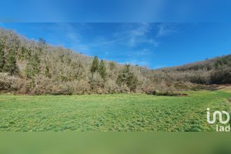 achat terrain monceaux-sur-dordogne 19400