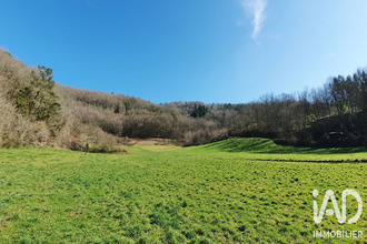 achat terrain monceaux-sur-dordogne 19400