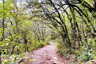 achat terrain monoblet 30170