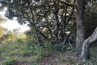 achat terrain mons 83440