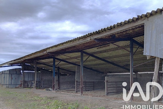 achat terrain monsireigne 85110