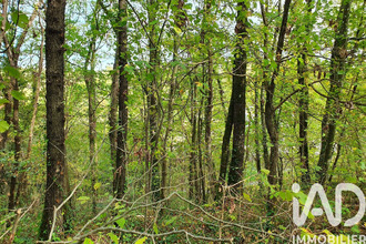 achat terrain moret-sur-loing 77250