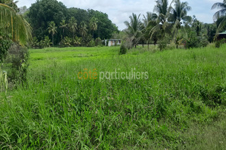 achat terrain morne-a-l-eau 97111