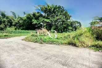 achat terrain morne-rouge 97260