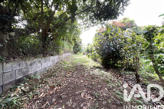 achat terrain morne-vert 97226