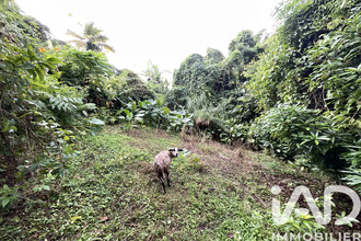 achat terrain morne-vert 97226