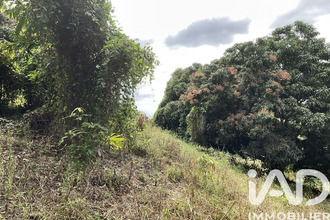 achat terrain morne-vert 97226